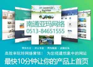 南通專(zhuān)業(yè)網(wǎng)站公司 網(wǎng)絡(luò)宣傳與服務(wù)的關(guān)鍵注意點(diǎn)